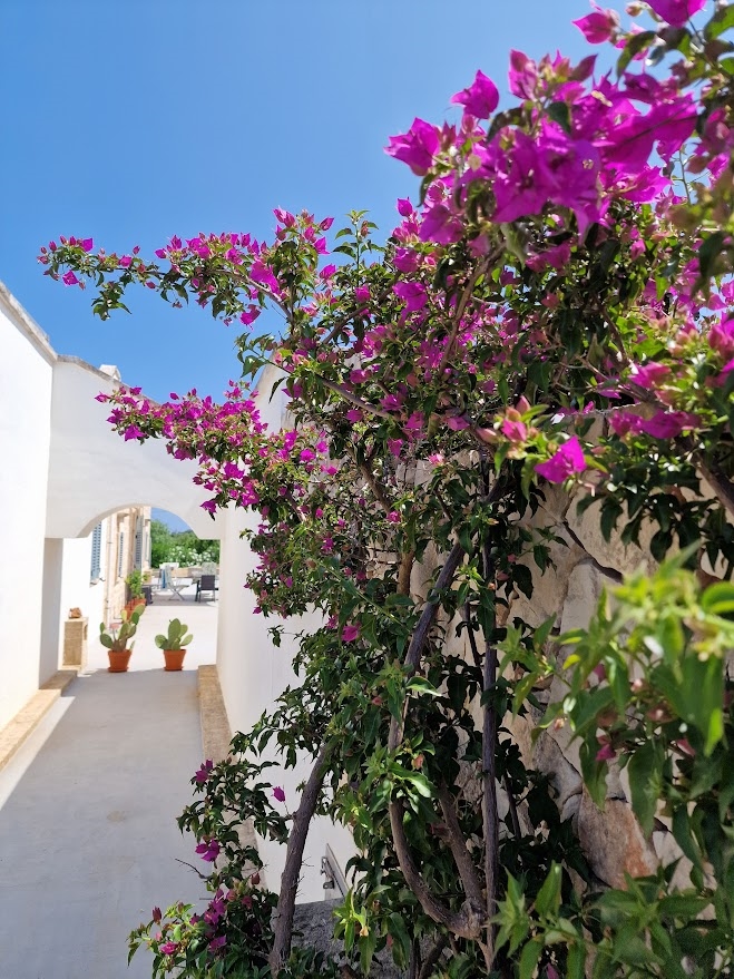 Masseria Poesia Nel Blu