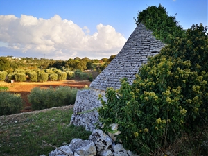 Territorio